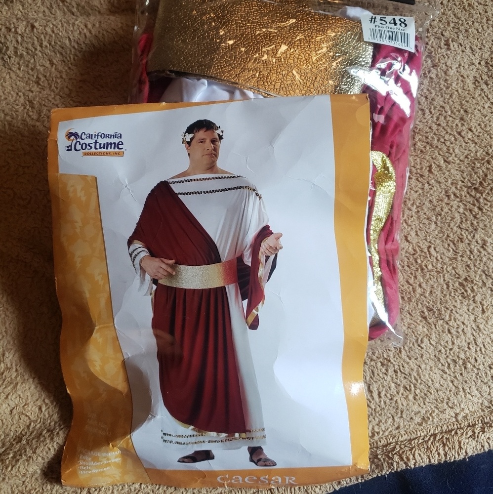 Men's Costume- Plus Size Caesar